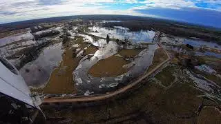 Wetland