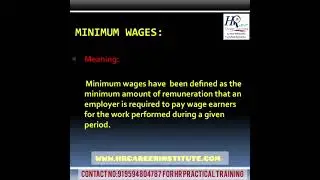 minimum wages - meaning, examples and importance 