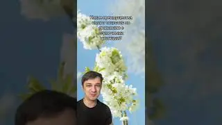 Преимущества соцветий 