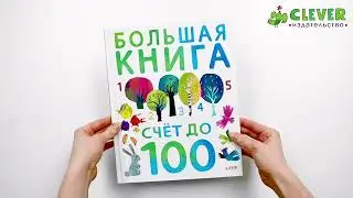 Большая книга. Счет до 100