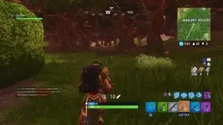 Fortnite_20180301212004