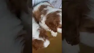 что по больше моя бупа #нэна