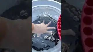 Give your ride an intense wash with Sticky Snowball Ultra Snow Foam!