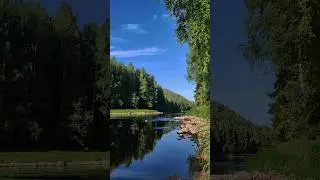 #карелия #природа #лес #рыбалка #речка #шуя #лето2024