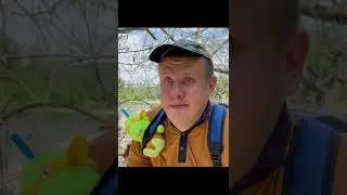 ВЕСЁЛАЯ РЫБАЛКА