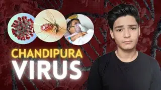New pandemic alert ! chandipura virus !