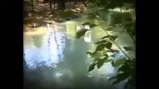 Любимый мой родной город Владикавказ!
