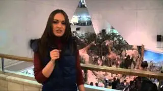 Останки опровергают теорию эволюции. Дарвиновский музей.