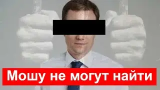Мошу не могут найти