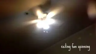 Ceiling Fan Spinning