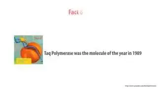 7 quick facts on Taq Polymerase Enzyme - HD