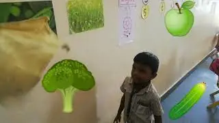 colours identification activity