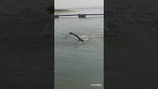 Омовение в Ганге.