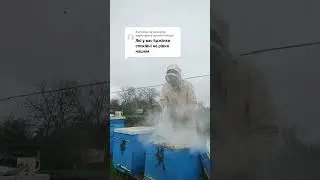 🐝🍯