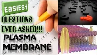 Plasma membrane | Easiet Questions ever asked in various Medical exams |