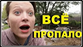 Прошло три года И ЭТО снова СЛУЧИЛОСЬ. Неожиданная концовка дня.
