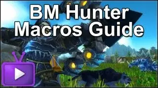 ★ WoW PvP - BM Hunter Macros Guide - One Shot Macro Included - Ft LoudsCast - WAY