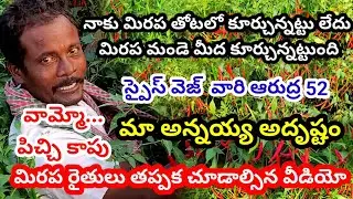 Chilli farming telugu|Chilli seeds telugu|Mirapa vithanalu|Mirchi seeds telugu|Mirchi cultivation