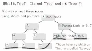 Tree, Trie