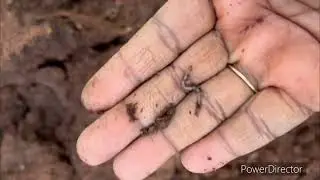 How I reuse / recycle old soil for new plants 