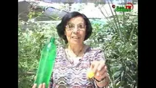 Consejos de Fresia