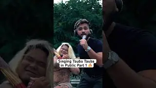 Singing Tauba Tauba in Public🔥 #taubatauba #karanaujla #vickykaushal #karanaujlastatus