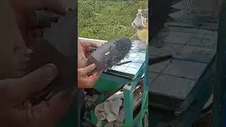 22 июля 2023 г.
