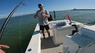 Valhallasent17 Snook snatchin pt3
