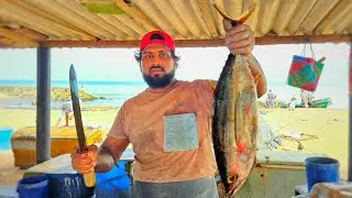 Huge Yellowfin Tuna Fish Cutting Skill By Expert Fish Cutter | Fastest Big Tuna Fish Cutting Skill