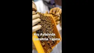 Kışın Ortasında Daraltma Yapmak