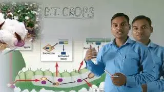 //Biotechnology//r DNA technology//Recombinant DNA technology