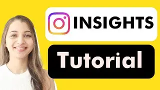 How to Use Instagram Insights (Understand Your Analytics Fast)