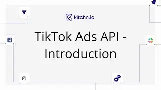 TikTok Ads API Tutorial: Getting access