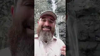 Стих жадным и скупым