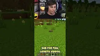 That bloody cockroach startled me!! (Minecraft) #shorts