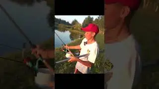 Здоровенный карась  #fishing #рыбалка  #fishingtechnique #рыбаки #карась