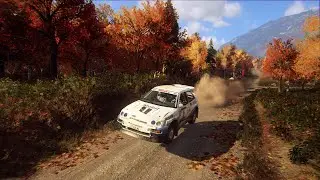 Dirt Rally 2.0 - USA Daily race