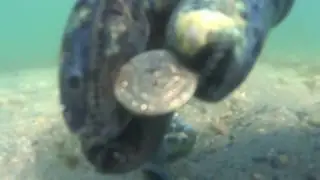 После шторма.