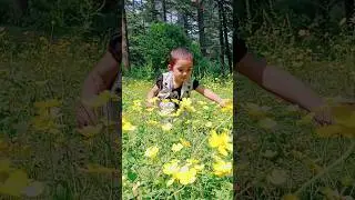 Aayi phoolon ke ras main nahake #trending #viral #shorts