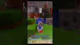 Minecraft MA sono Sonic P.5 #shorts #sonic