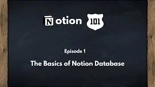 Notion 101:  The Basics of Notion Database