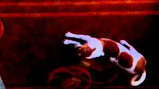 Shanti my dog, the morning begins VID 20150129 064222