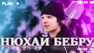 НЮХАЙ БЕБРУ 2021 ПОПУЛЯРНЫЕ МЕМЫ