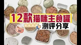 猫咪主食罐怎么选？12款进口猫咪主食罐测评，总有一款适合你！