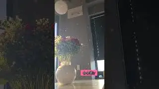 #일반인 #커버 #서영은 #중독 #노래 #삑사리 #웃자