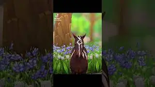 -Star Stable TikTok’s-