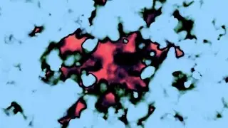 Blue, Pink & Black Abstract Background Loop