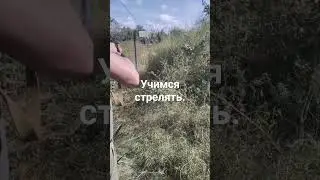 30 января 2024 г.
