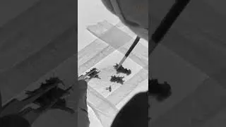 Showing the extraction process of the hair follicles #haircare #hairgrowth #hair #hairloss