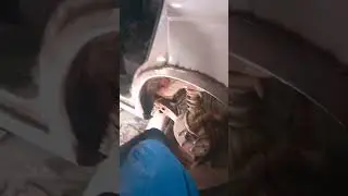 ремонт кузова